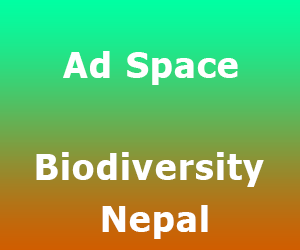 ads space