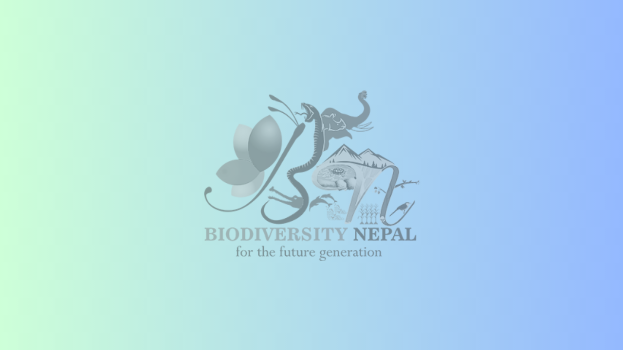 People Don't Need to test COVID-19!