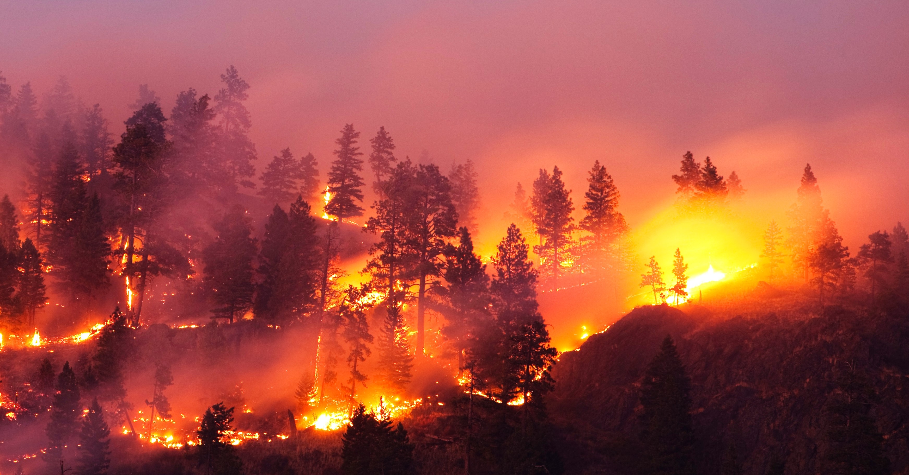 Are wildfires increasing or intensifying?