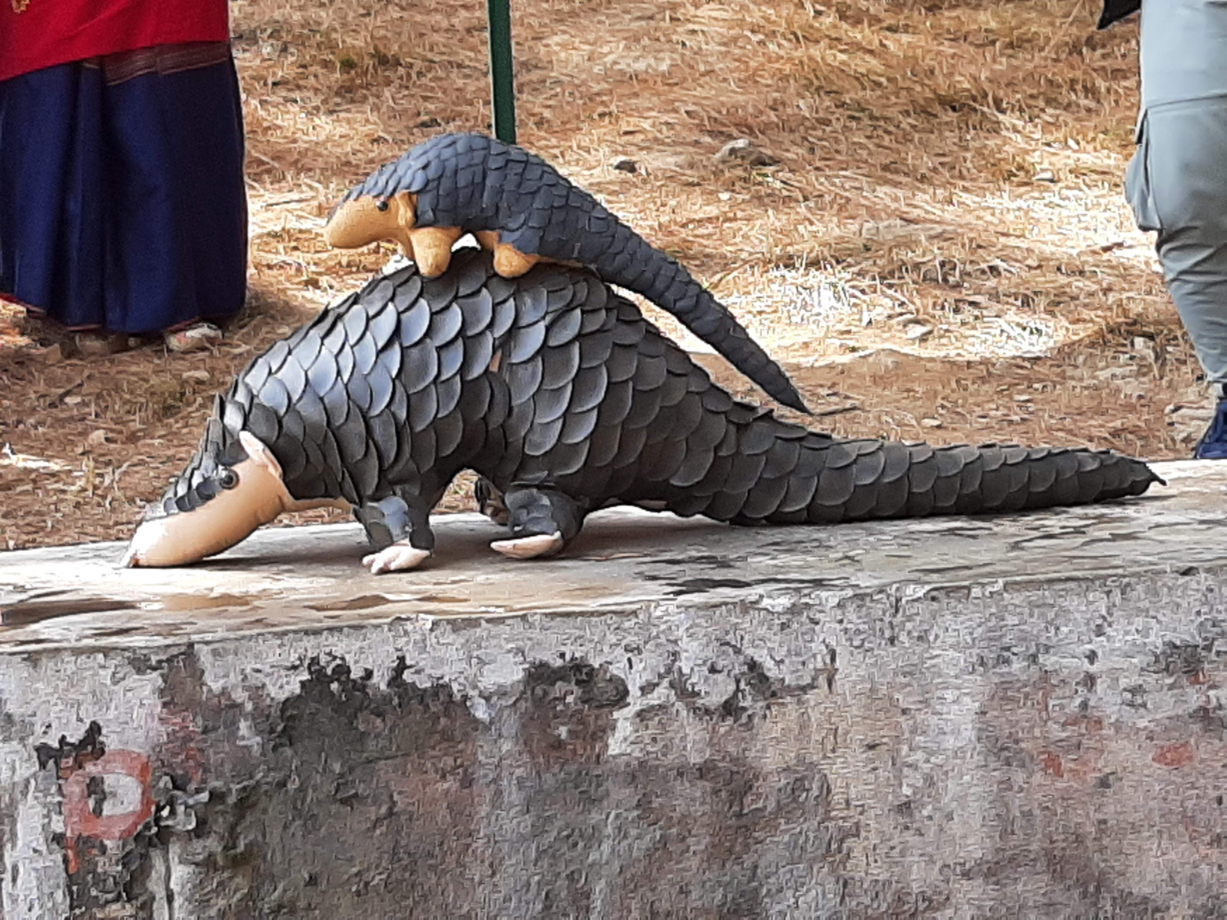 बाघभैरव सामुदायिक वनमा नेपालकै पहिलो सालक पद मार्गः मेरो यात्रा